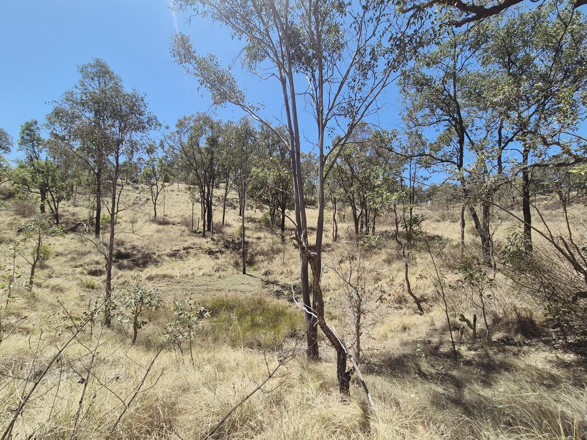 Lot 481 Gracey Street, Cooyar QLD 4402, Cooyar - Thumbnail 6
