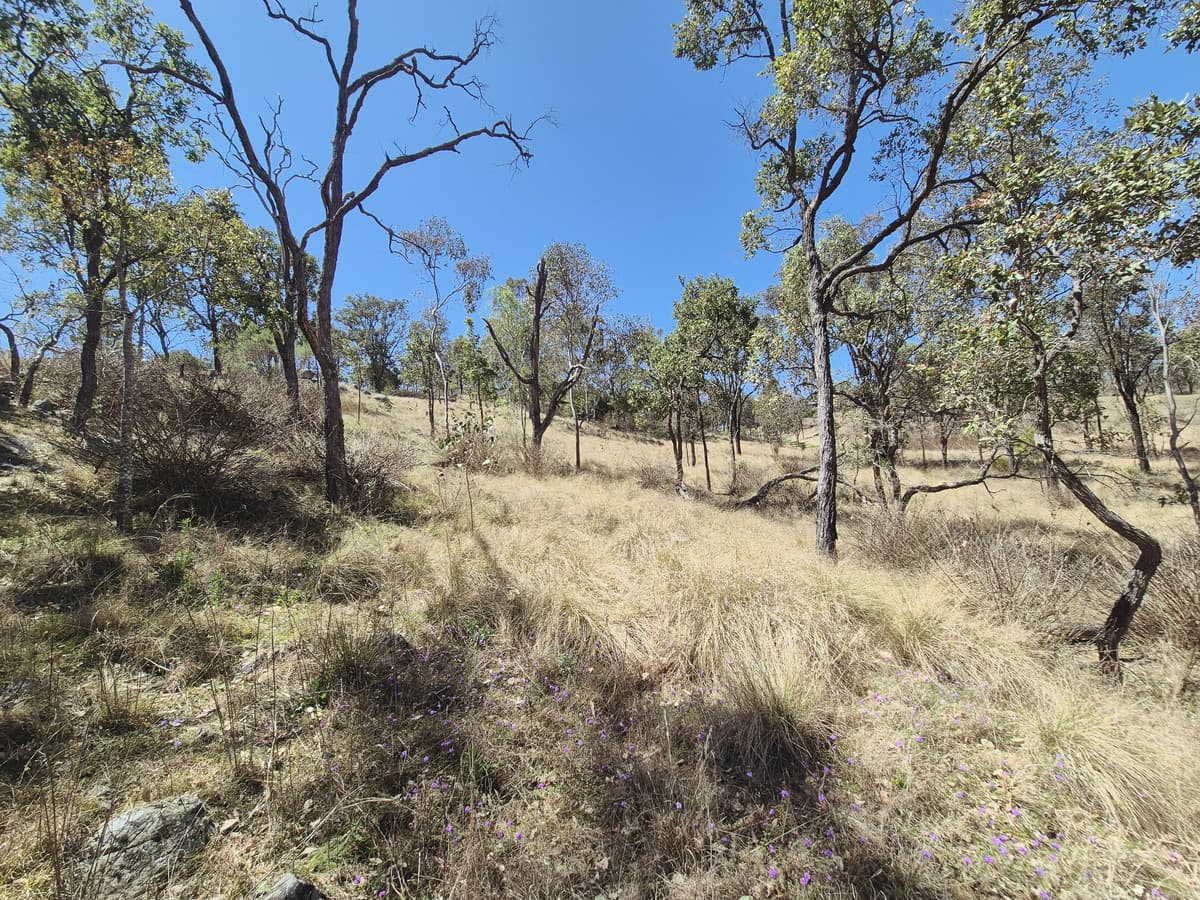 Lot 481 Gracey Street, Cooyar QLD 4402, Cooyar - Thumbnail 7
