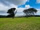 16 Wedgetail Drive, Highfields QLD 4352, Highfields - Thumbnail 5