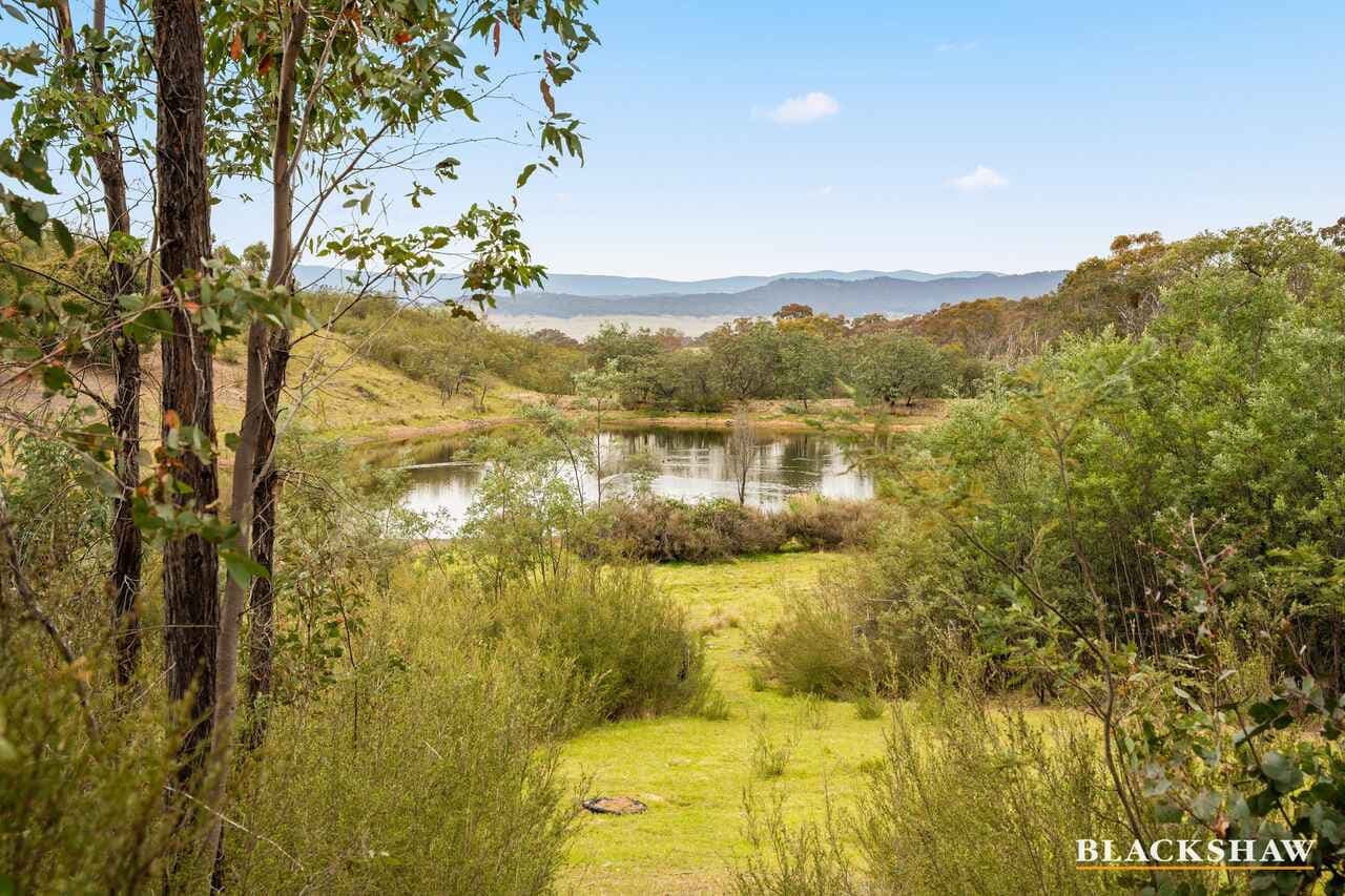 Lot 38/359 Widgiewa Road, Carwoola, Carwoola - Image 1