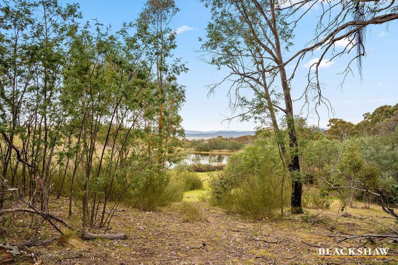 Lot 38/359 Widgiewa Road, Carwoola, Carwoola - Thumbnail 4