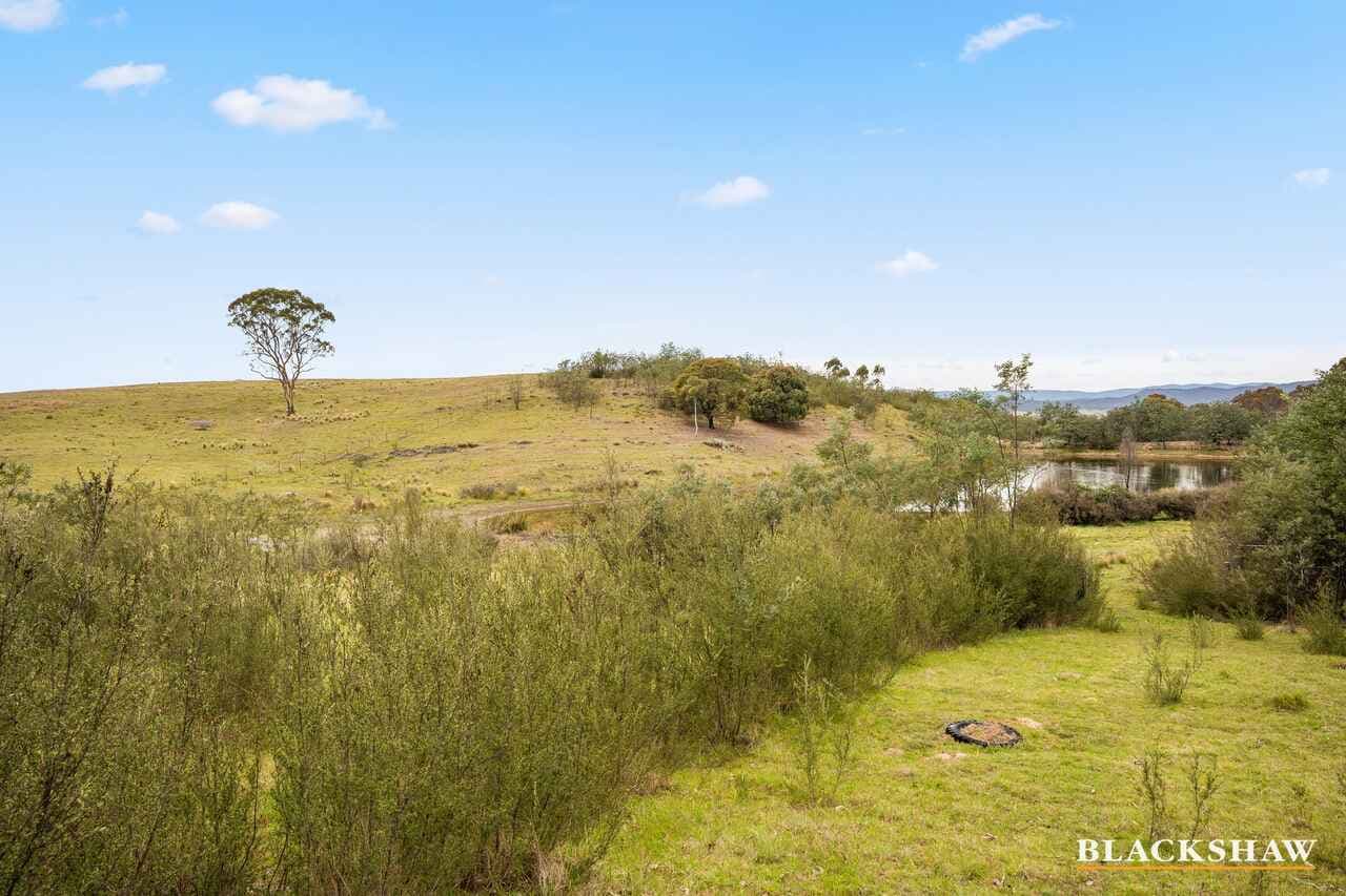 Lot 38/359 Widgiewa Road, Carwoola, Carwoola - Thumbnail 5