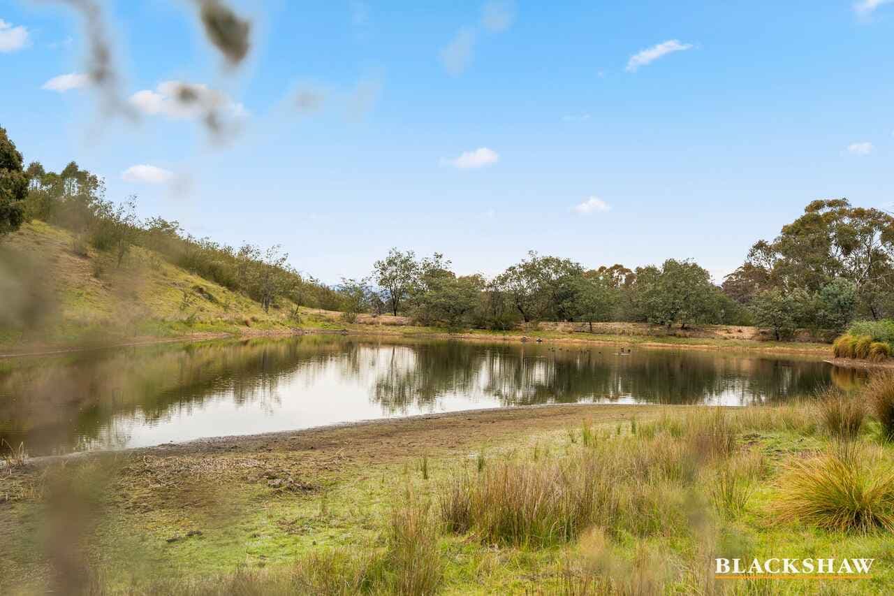 Lot 38/359 Widgiewa Road, Carwoola, Carwoola - Thumbnail 6