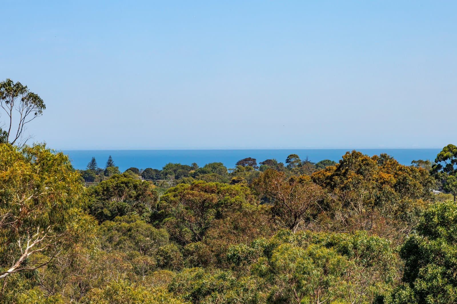 50 Sanders Road, Frankston South, Frankston South - Image 1
