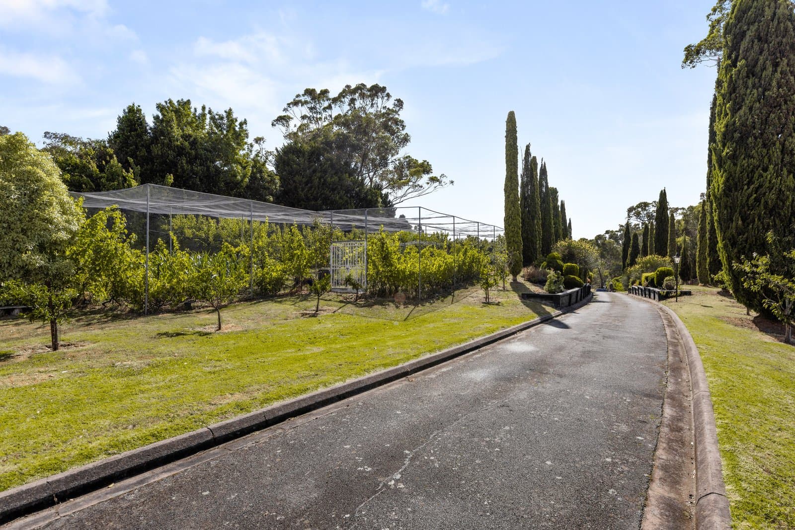 71-79 Knees Road, Park Orchards, Park Orchards - Thumbnail 8