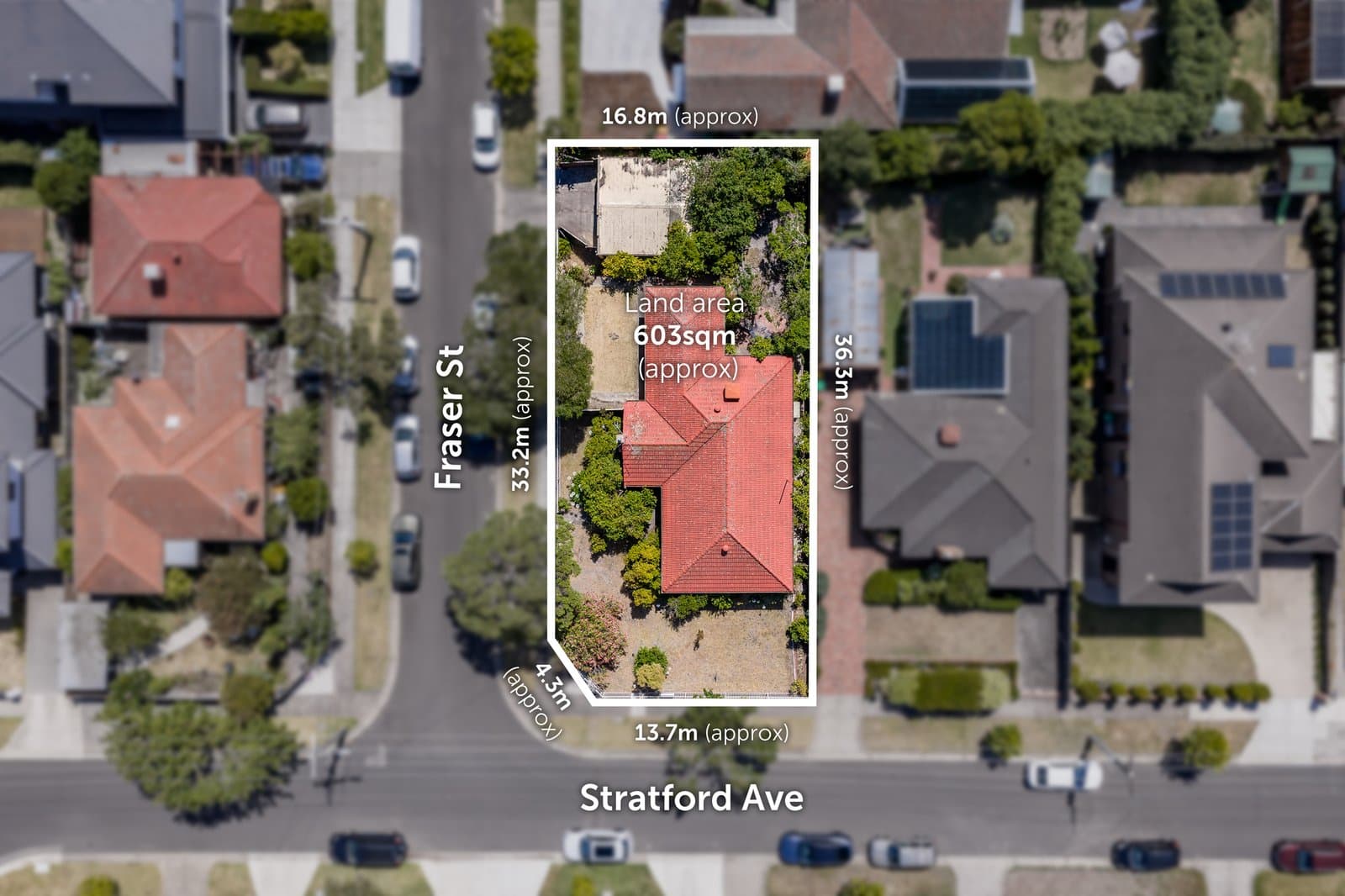 21 Stratford Avenue, Bentleigh East, Bentleigh East - Thumbnail 3