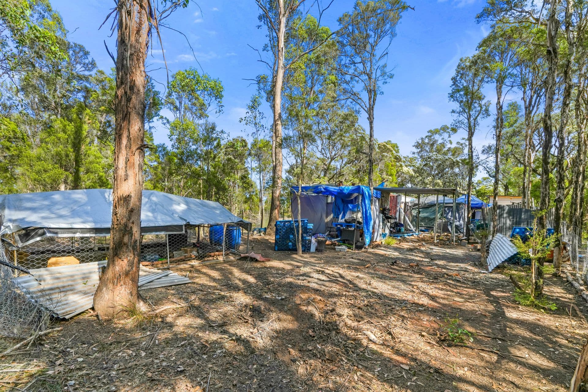 Lot 41 Herbert Street, Angus, NSW, 2765, Angus - Thumbnail 3