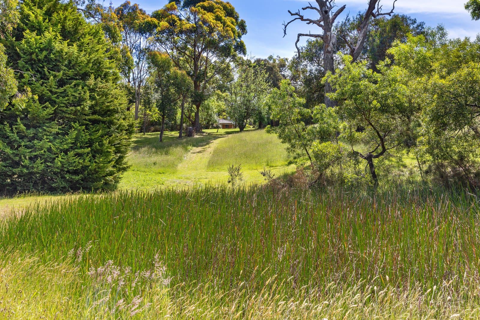 21 Junction Road, Merricks North, Merricks North - Thumbnail 2