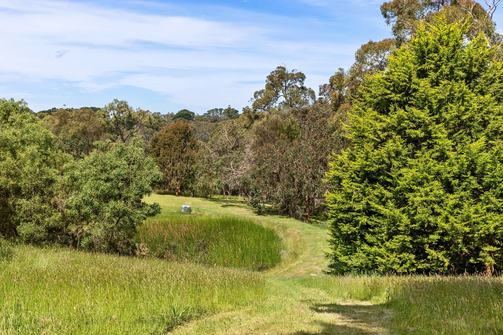 21 Junction Road, Merricks North, Merricks North - Thumbnail 4
