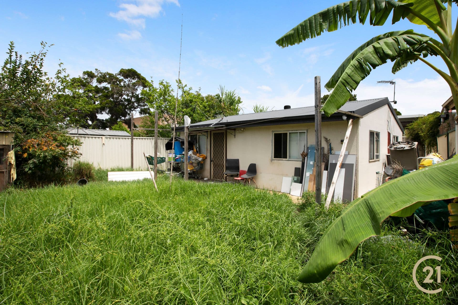 11 Shortlands Street, Canley Vale, NSW, 2166, Canley Vale - Thumbnail 5