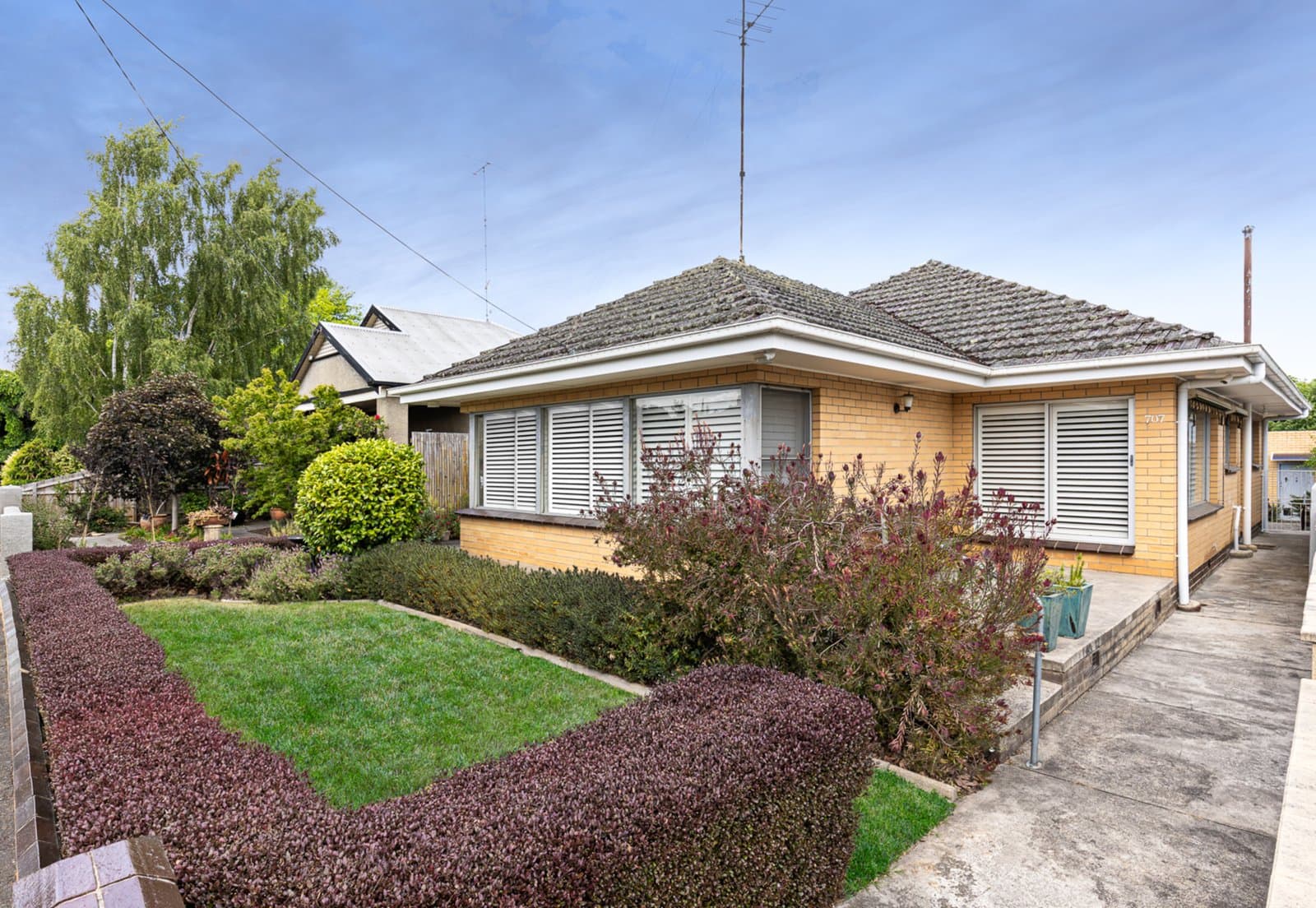 707 Dana Street, Ballarat Central, Ballarat Central - Thumbnail 3