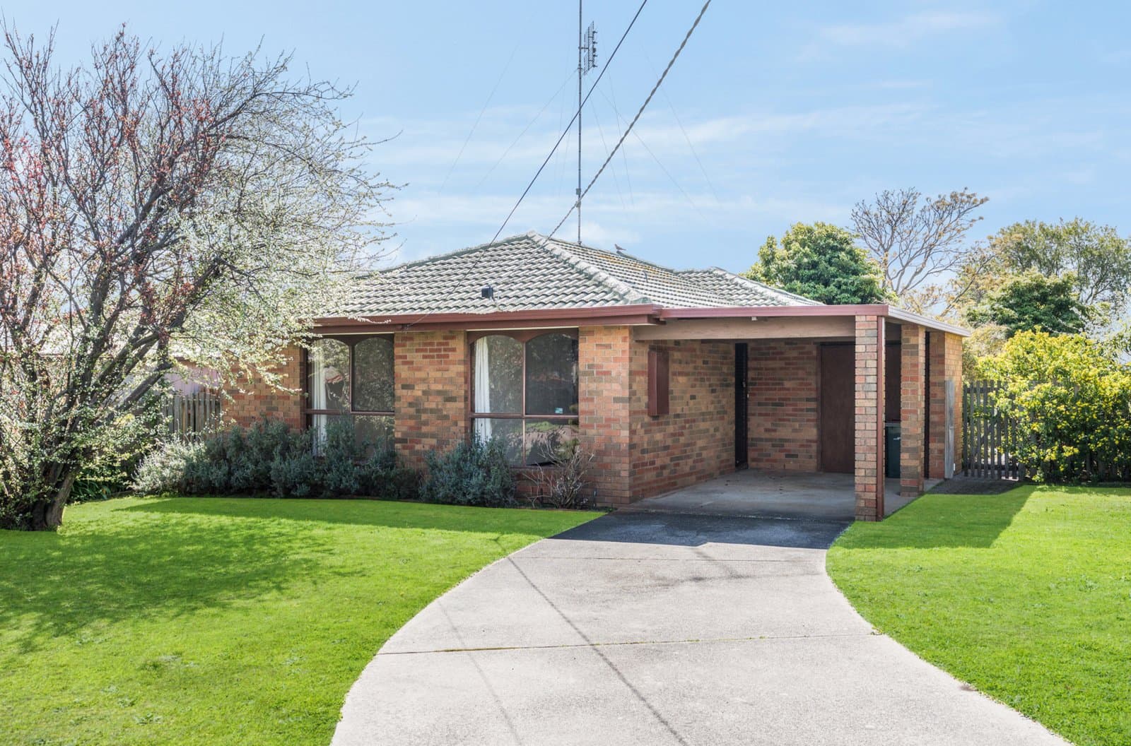 4 Catalpa Court, Clifton Springs, Clifton Springs - Thumbnail 3