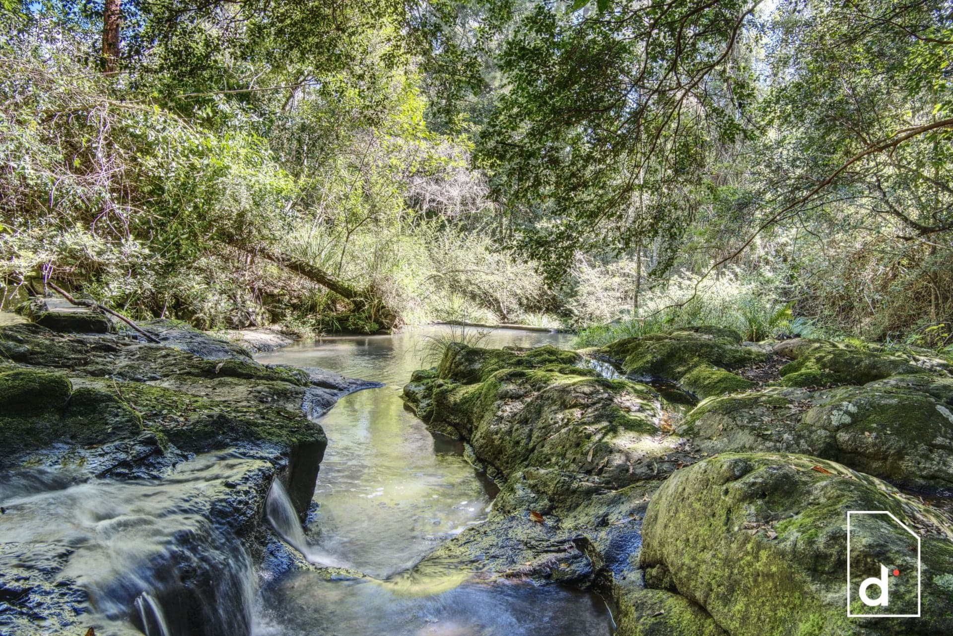 136 Wender Road, Collins Creek, NSW 2474, Collins Creek - Thumbnail 8