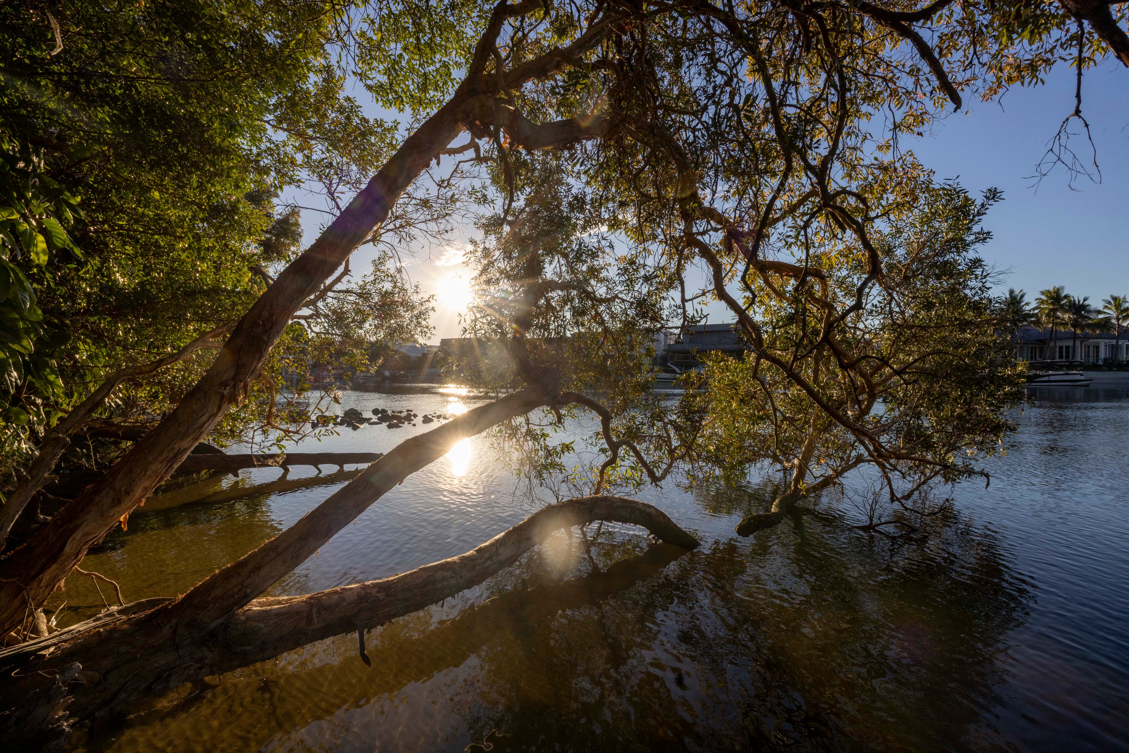 6/2 Serenity Close, Noosa Heads, Noosa Heads - Image 1