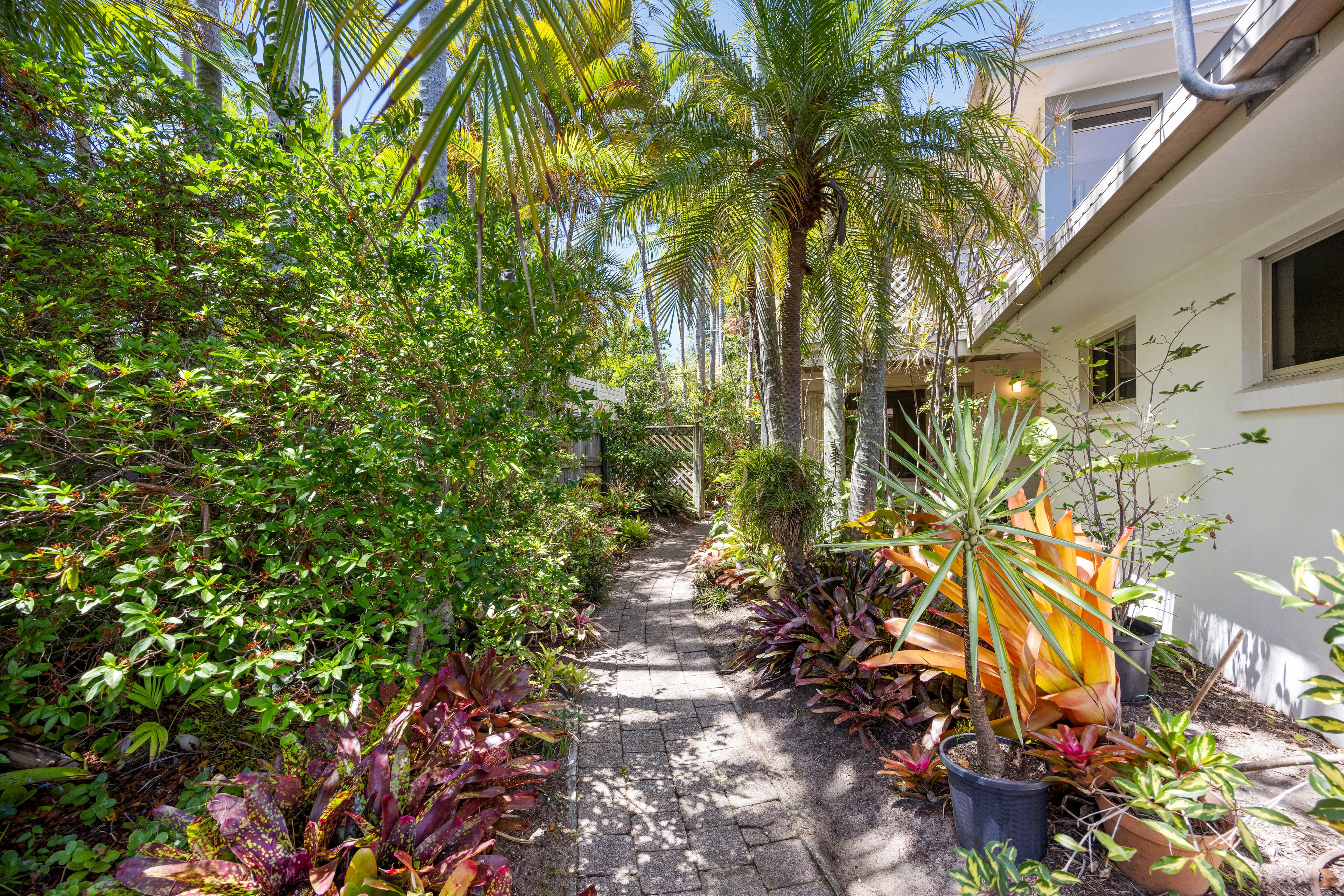 1/11 Solway Drive, Sunshine Beach, Sunshine Beach - Thumbnail 7