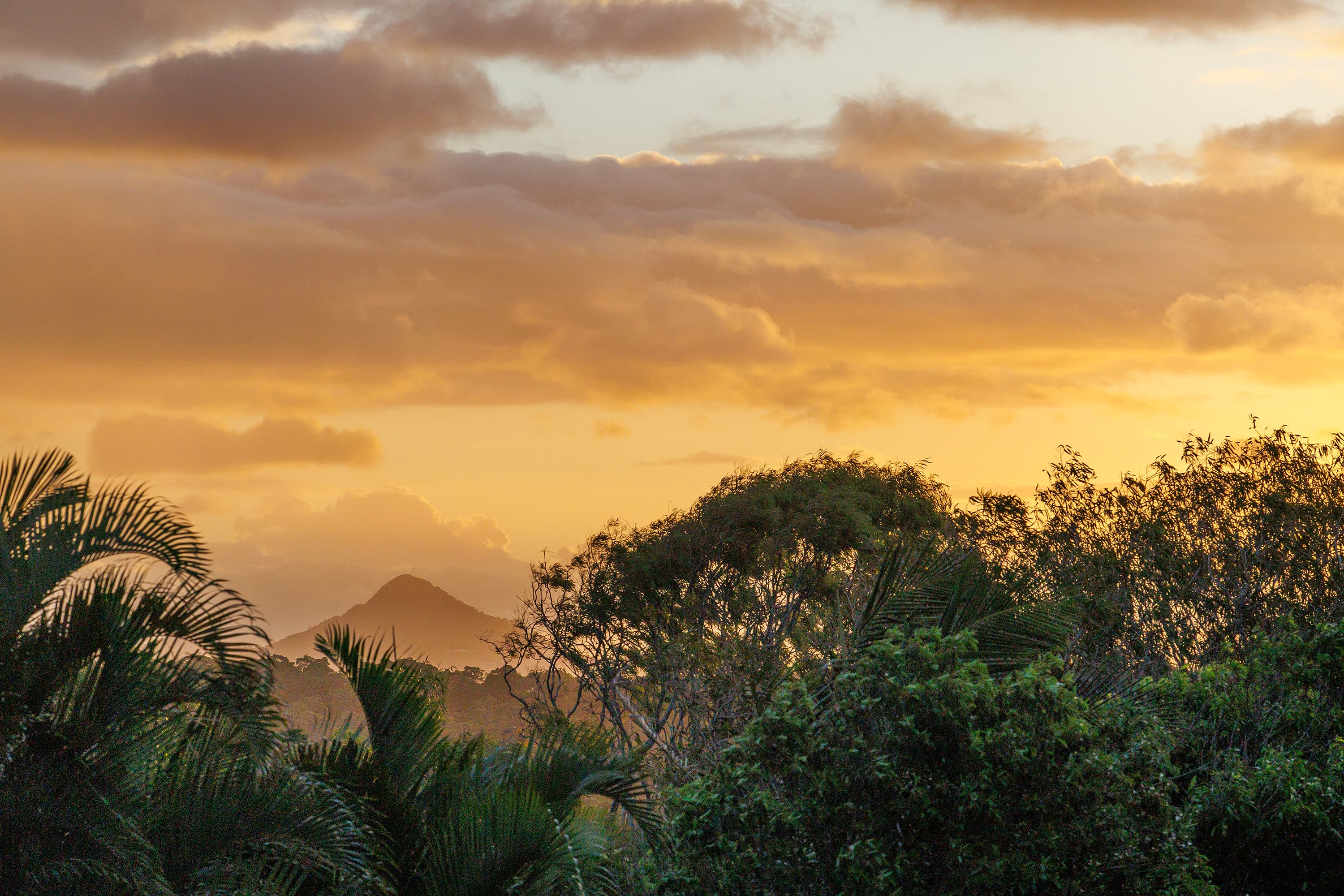8 Intrepid Place, Sunrise Beach, Sunrise Beach - Thumbnail 5