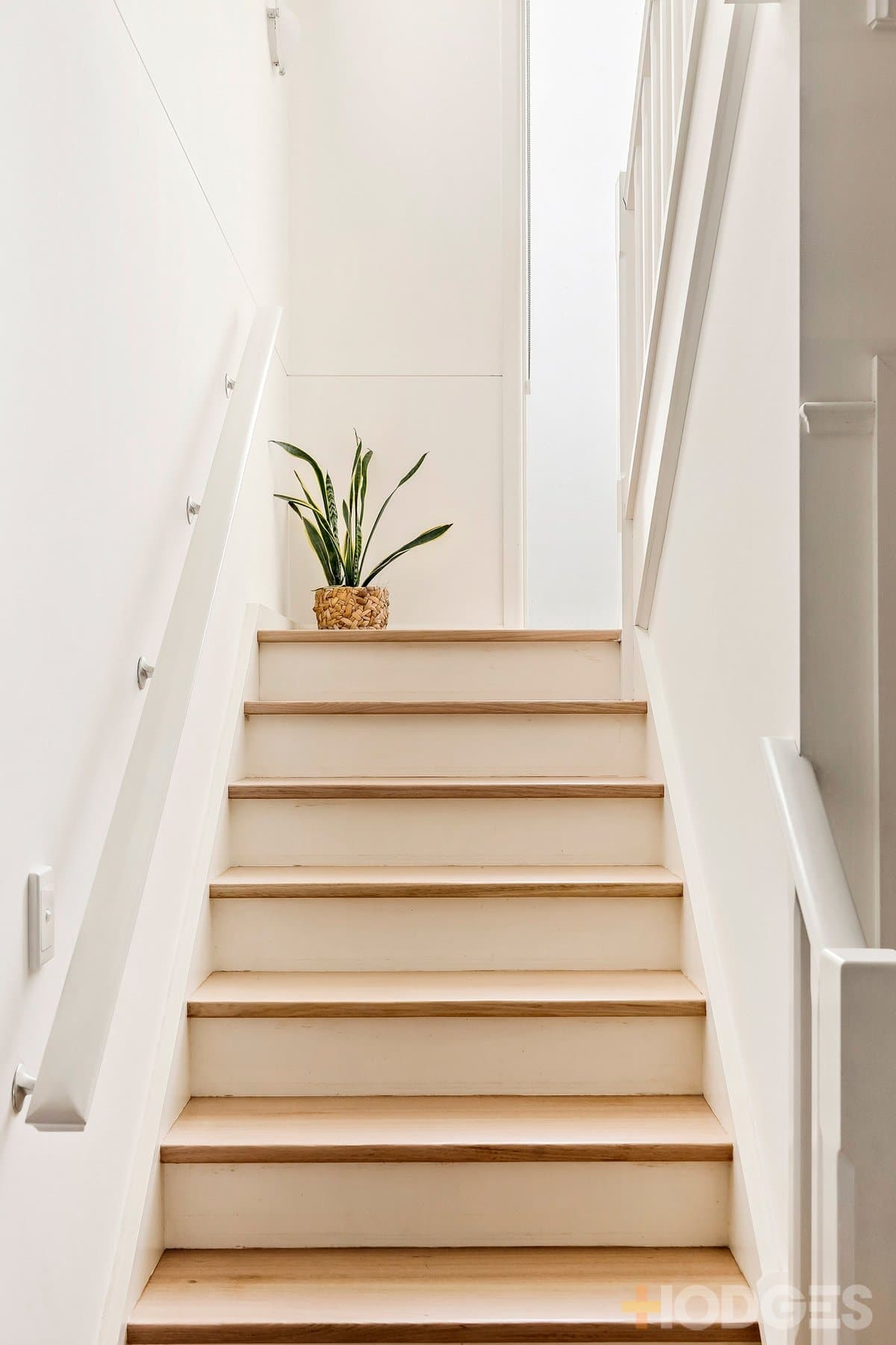 19 Noyes Street, Highett, VIC, 3190, Highett - Thumbnail 6