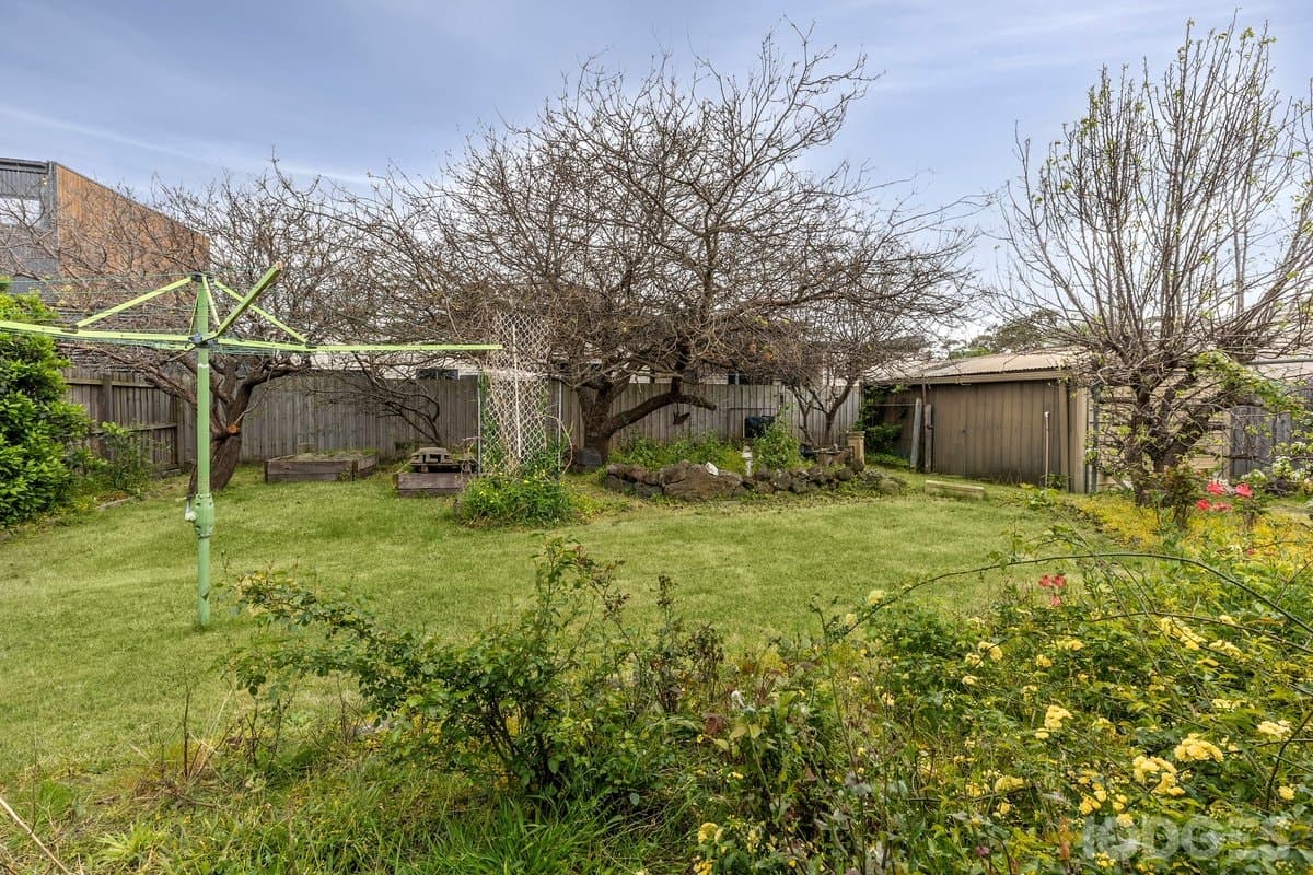 12 Callistemon Court, Ocean Grove, VIC, 3226, Ocean Grove - Thumbnail 8