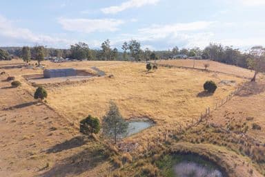 36 Lansdowne Place, Deloraine - Thumbnail 4