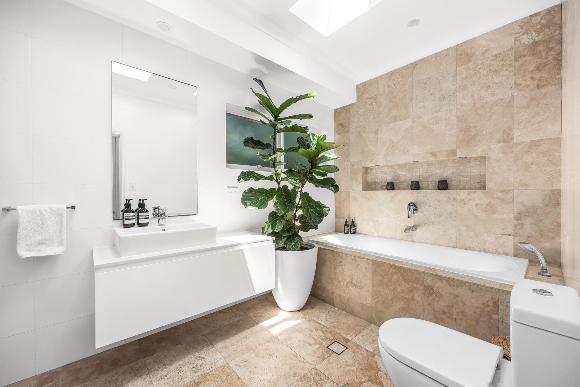 39B Murray Street, Bronte, Bronte - Thumbnail 5