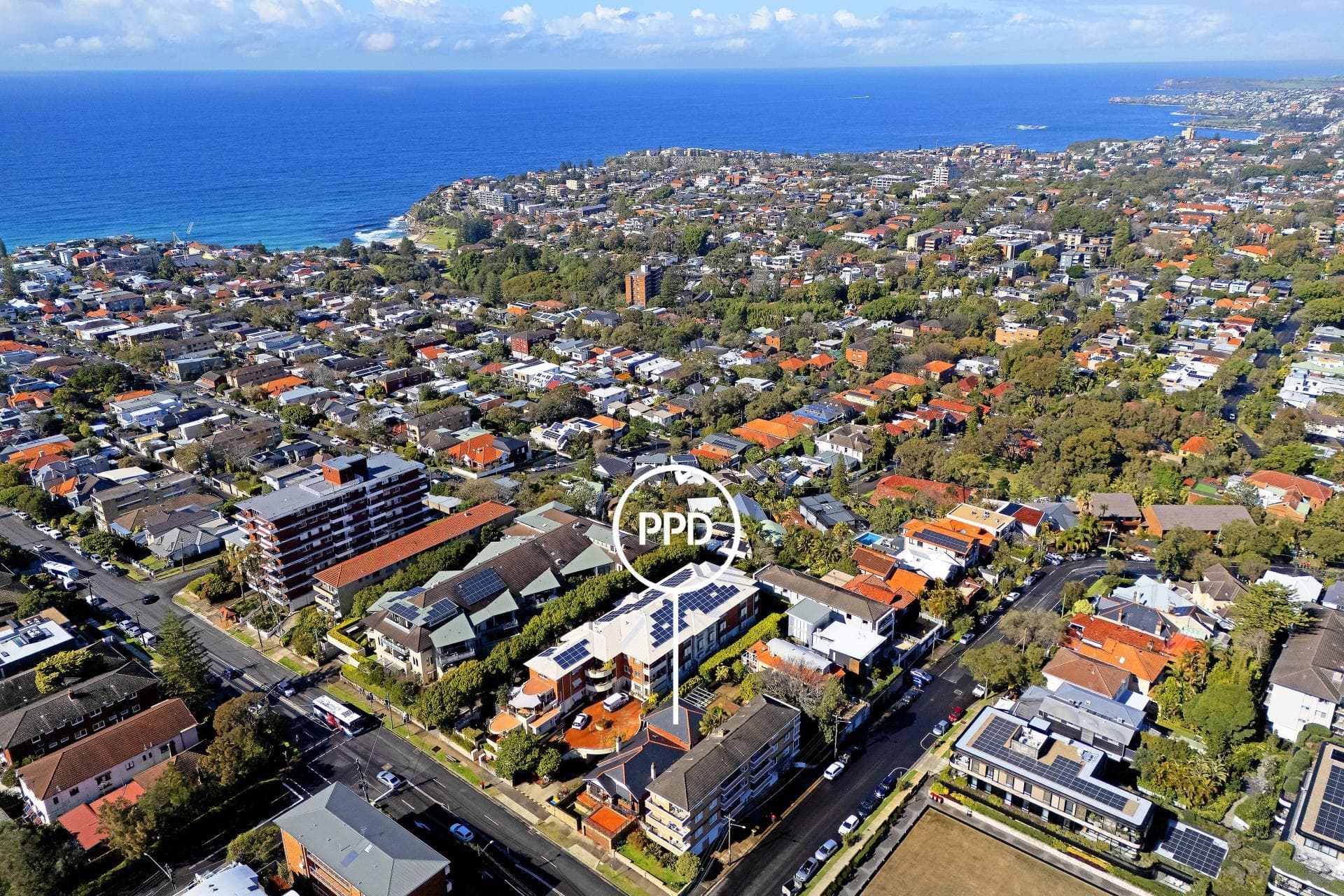 193 Birrell Street, Waverley - Thumbnail 8