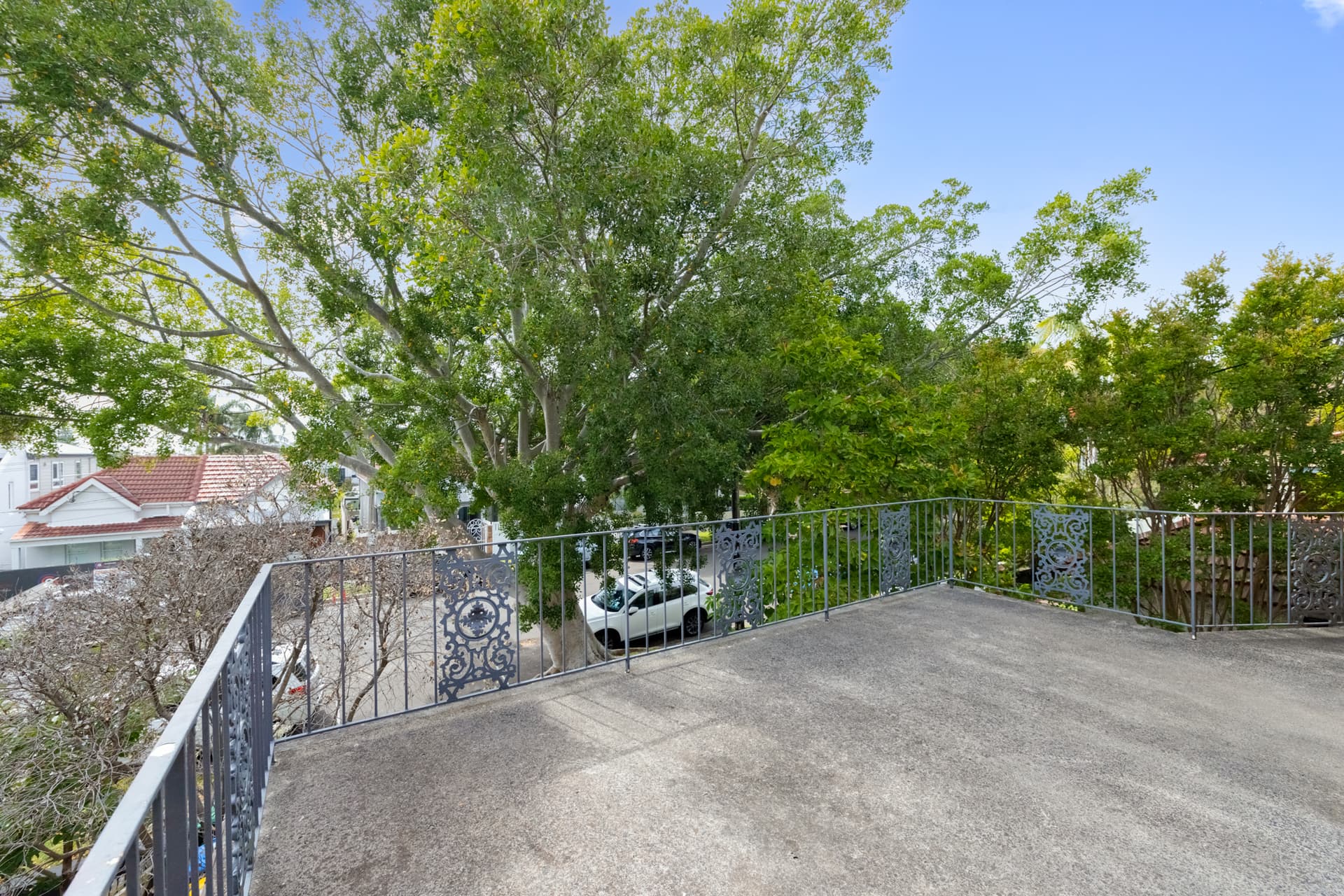 6 Jackaman Street, Bondi, Bondi - Thumbnail 5