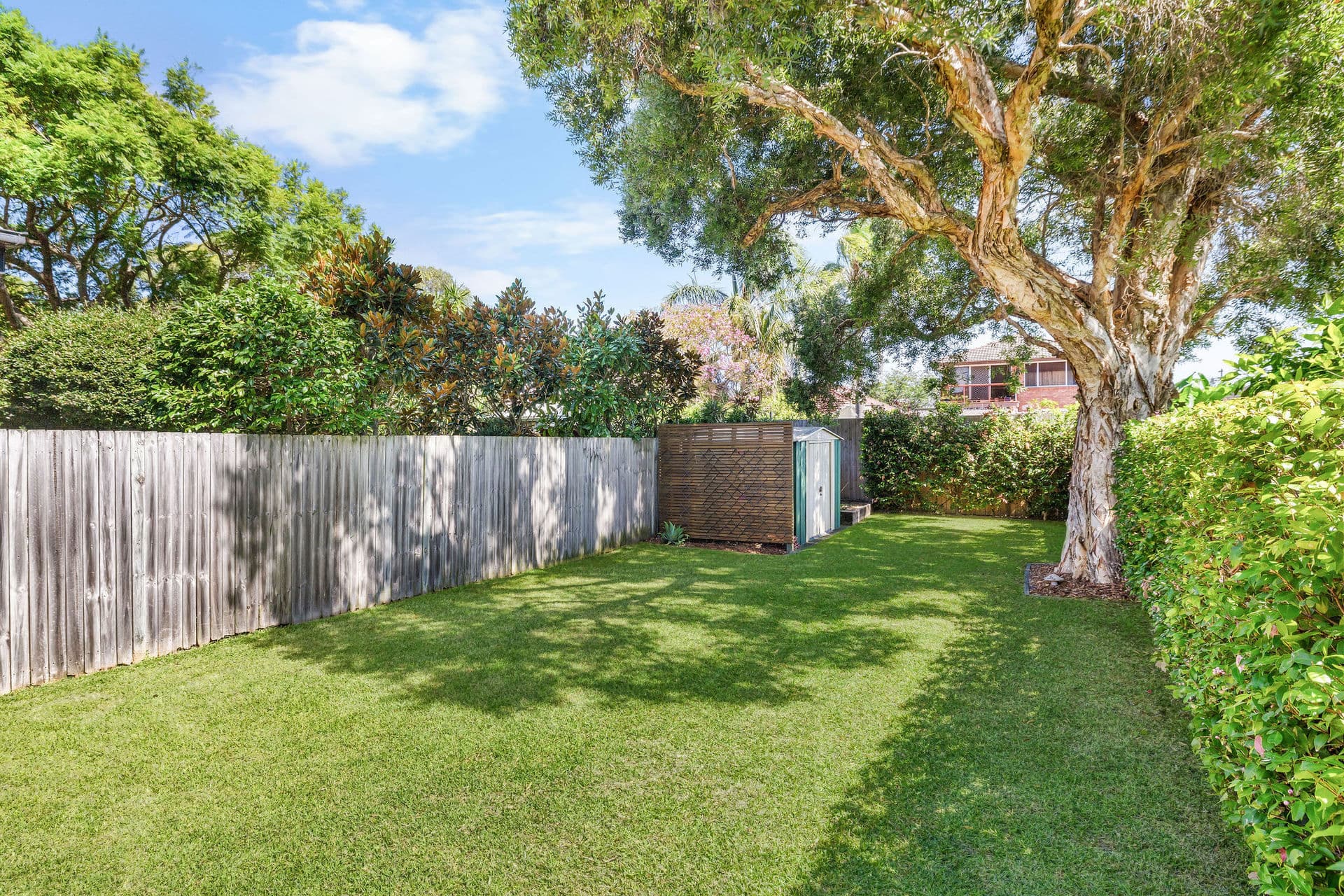 19 Keating Street, Maroubra, Maroubra - Thumbnail 8