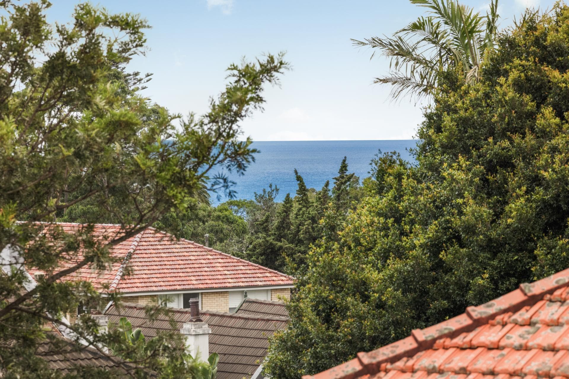 3D/337 Bronte Road, Bronte, Bronte - Thumbnail 8