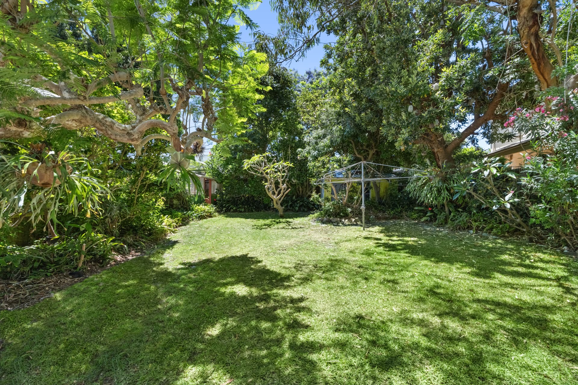 38 Dover Road, Rose Bay, Rose Bay - Thumbnail 4