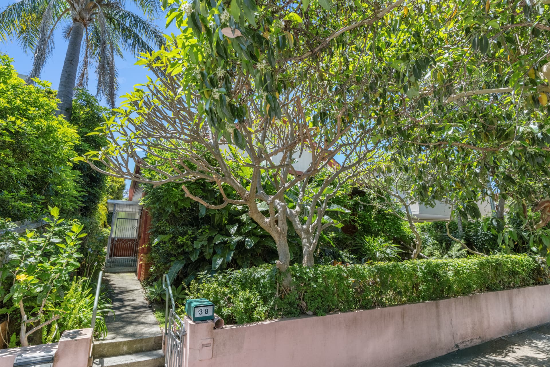 38 Dover Road, Rose Bay, Rose Bay - Thumbnail 5