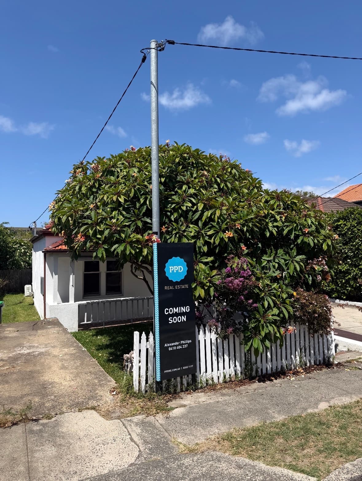 23 Violet Street, Bronte, Bronte - Thumbnail 2