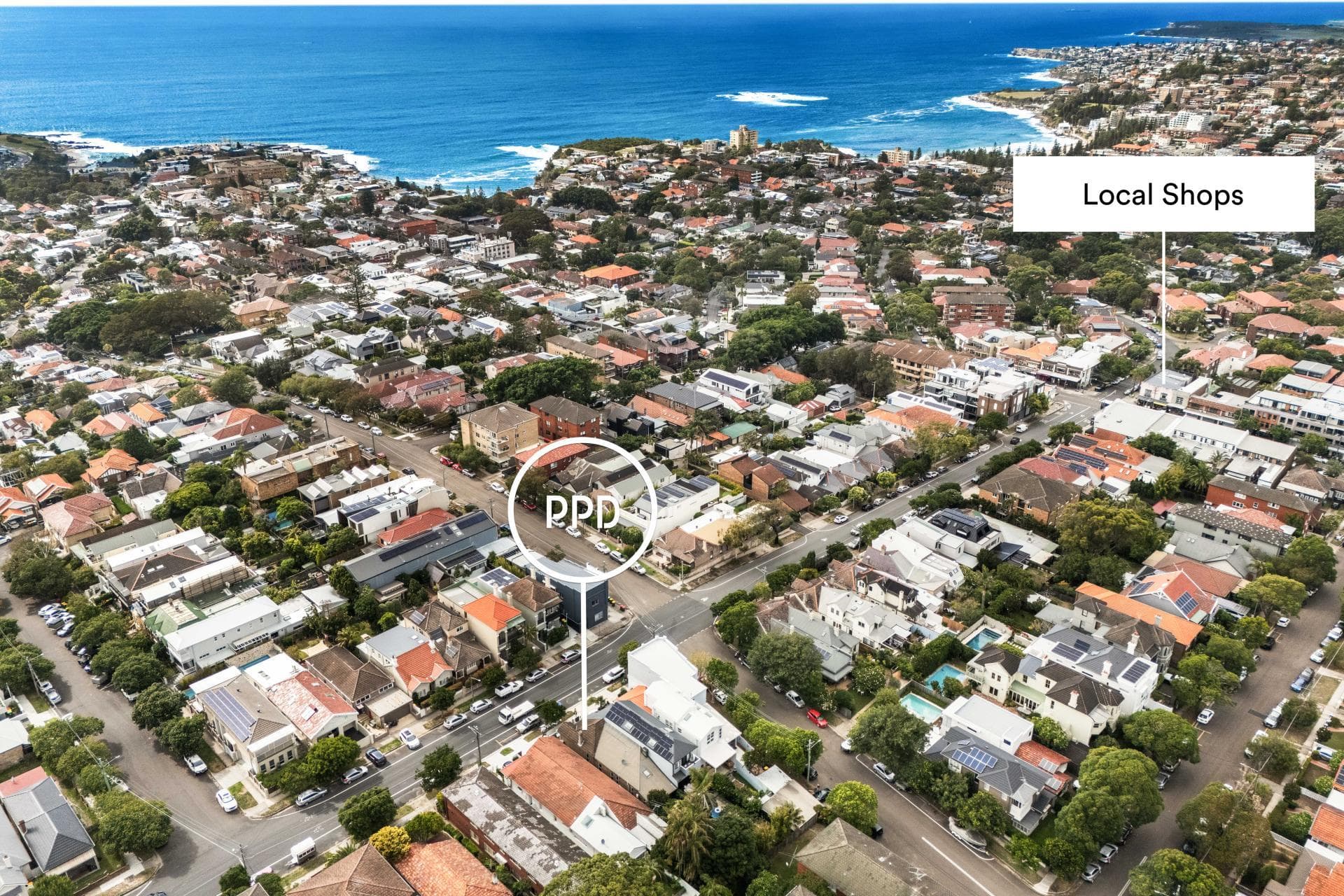 66 Fern Street, Randwick, Randwick - Thumbnail 6