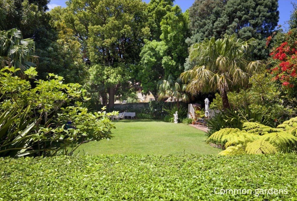 28/118 Wallis Street, Woollahra, Woollahra - Thumbnail 5