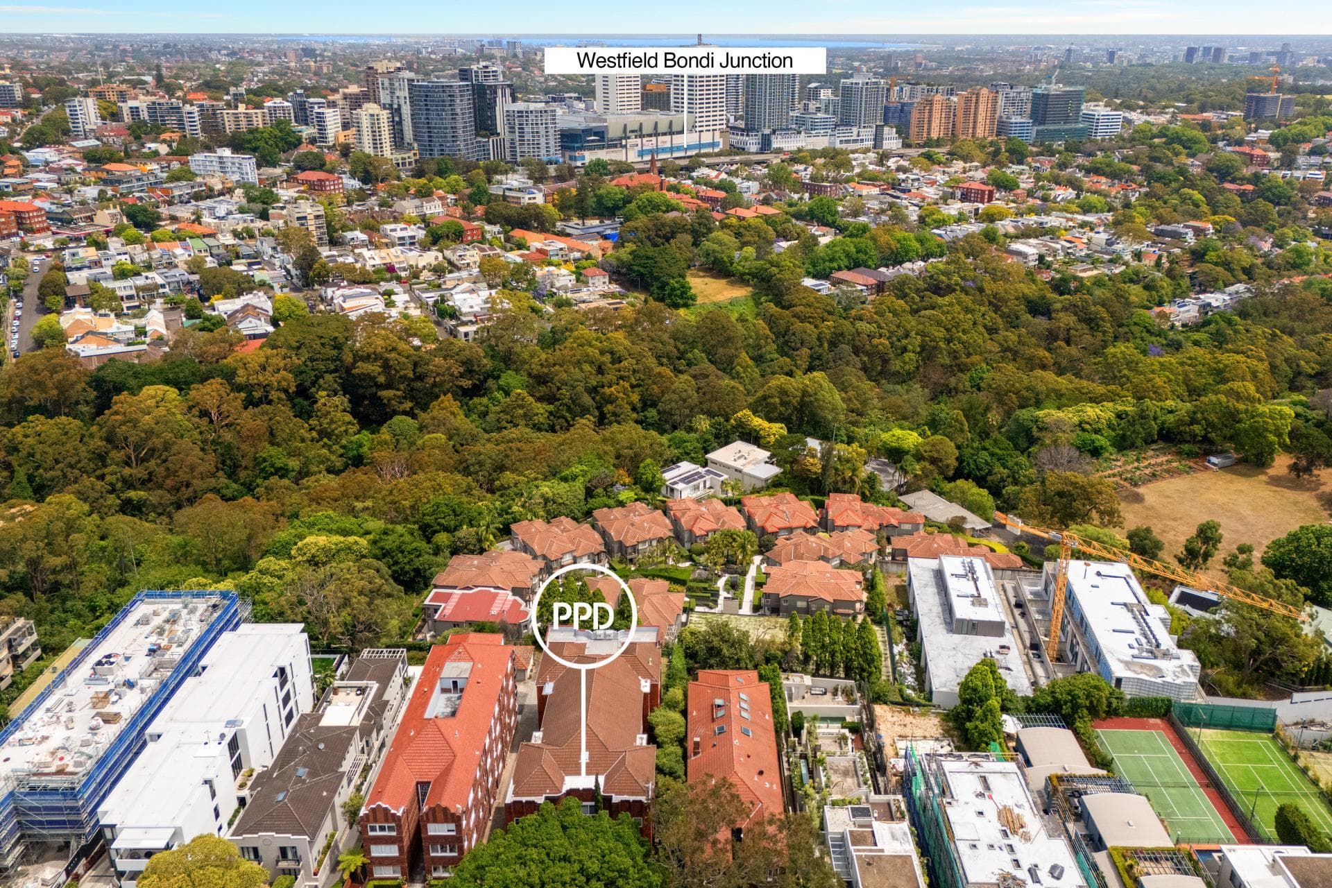 20/52 Bellevue Road, Bellevue Hill, Bellevue Hill - Thumbnail 4