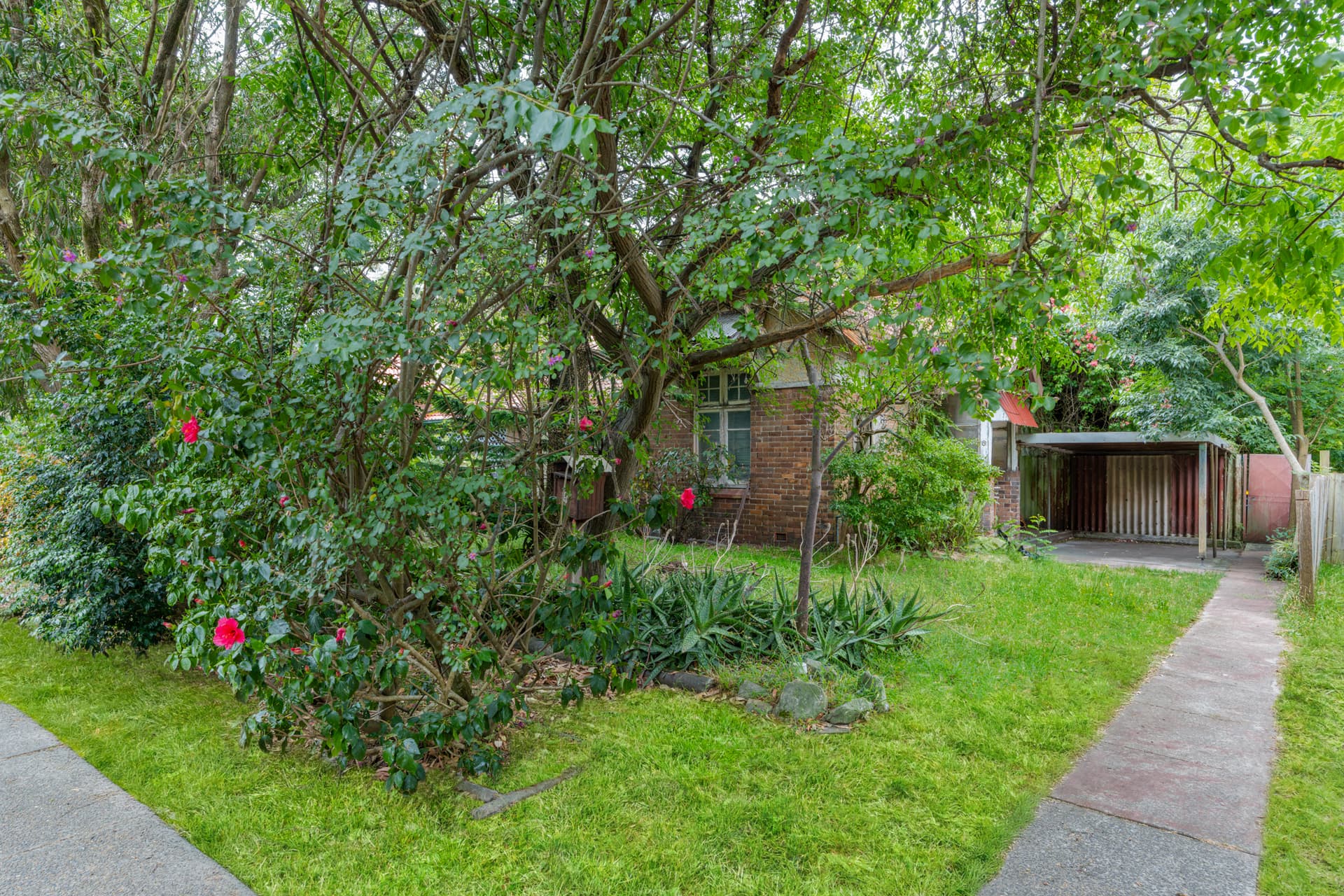8 Endeavour Road Daceyville Nsw, Daceyville - Thumbnail 2