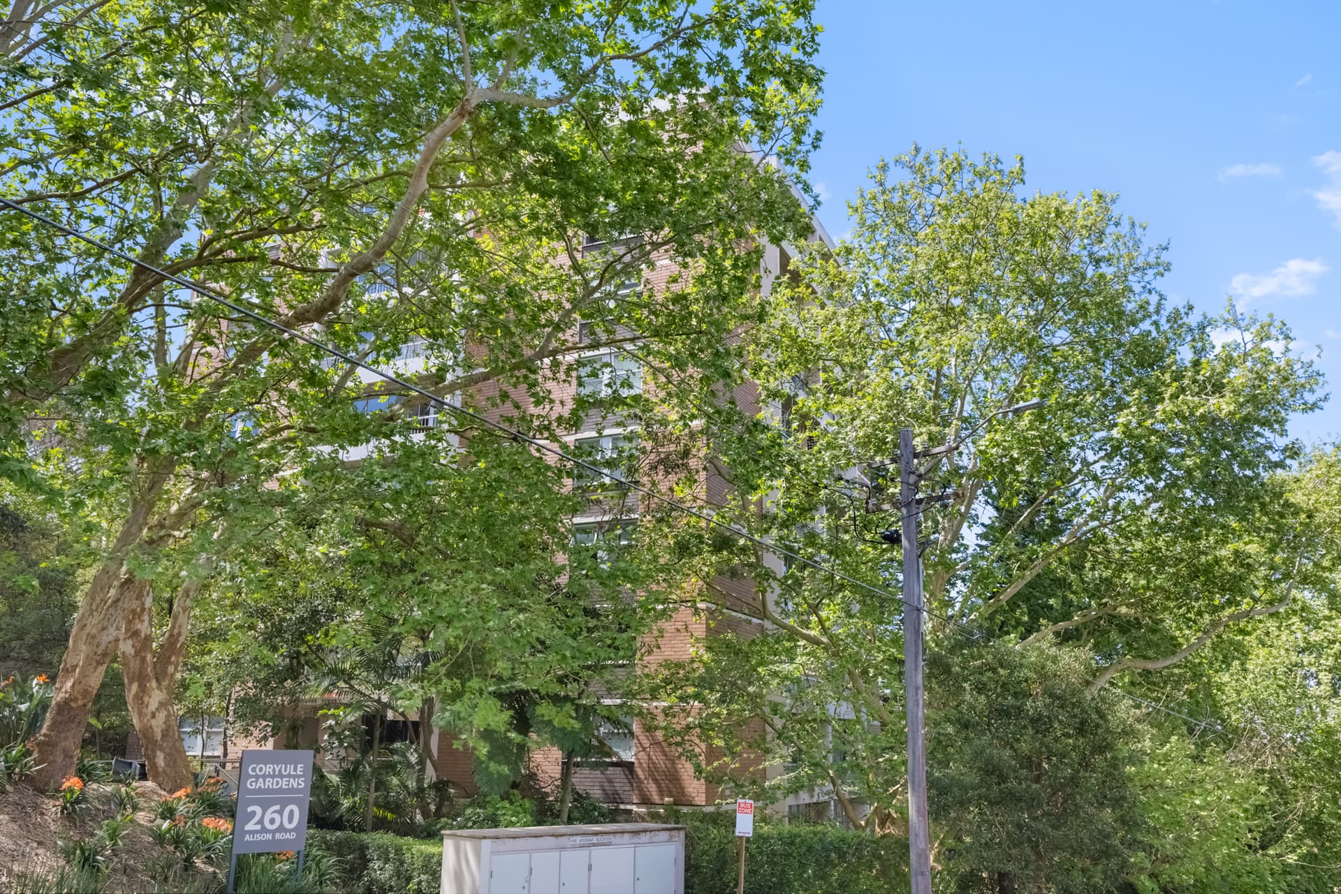 61/260 Alison  Road, Randwick, Randwick - Thumbnail 7