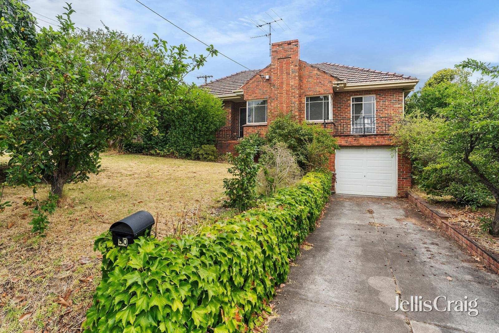 50 Finlayson Street, Doncaster, Doncaster - Thumbnail 3