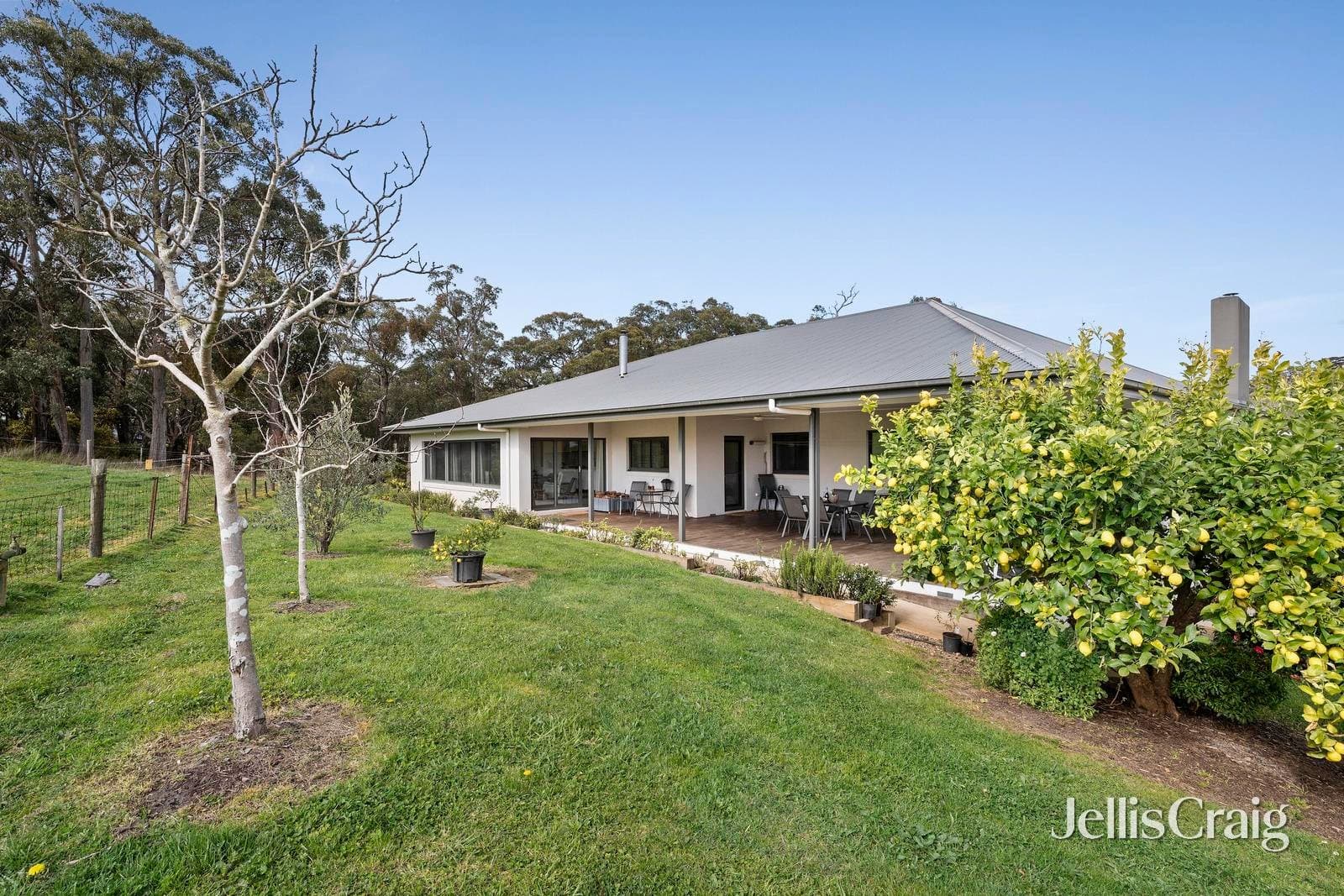 680 Lusatia Park Road, Hoddles Creek, Hoddles Creek - Thumbnail 2