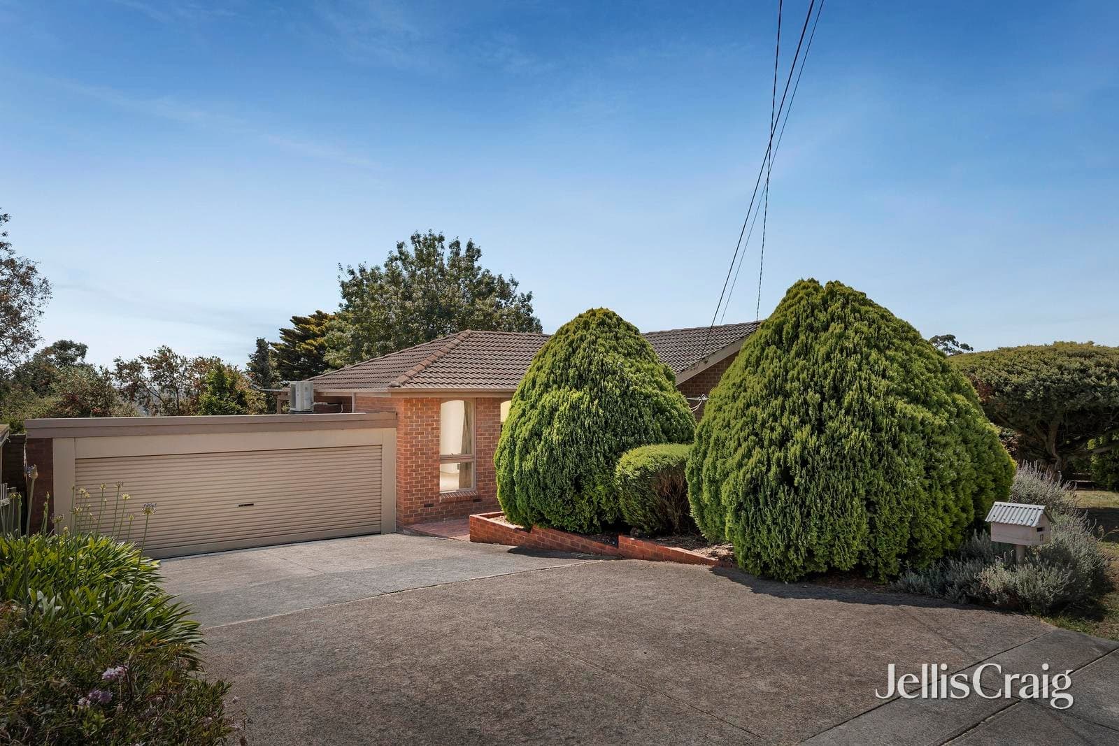 17 Blueberry Road, Mooroolbark, Mooroolbark - Thumbnail 2