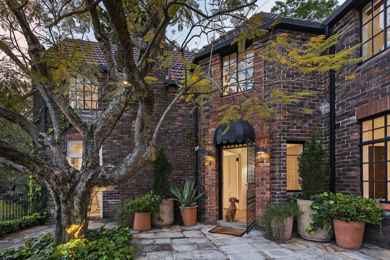 10 Wallaroy Road, WOOLLAHRA, Woollahra - Thumbnail 3