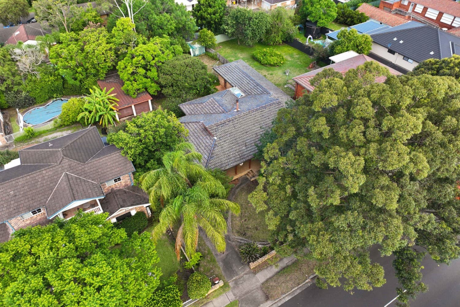 310 Kissing Point Road, Ermington, NSW 2115, Ermington - Thumbnail 3