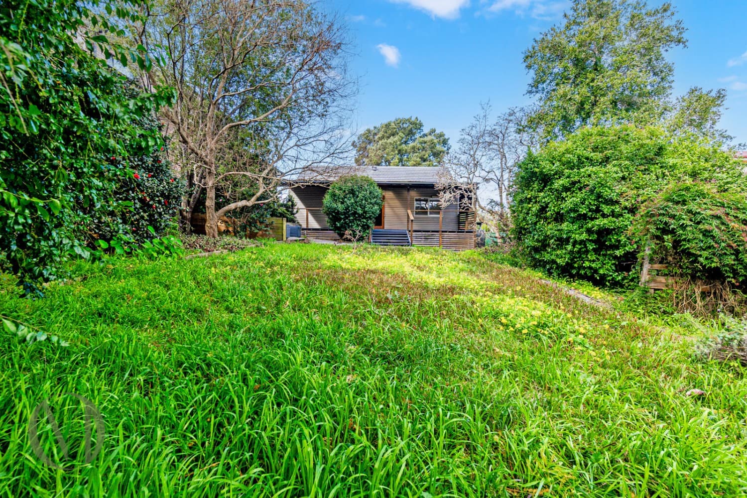 4 Clarke Street, Rydalmere, NSW 2116, Rydalmere - Thumbnail 6