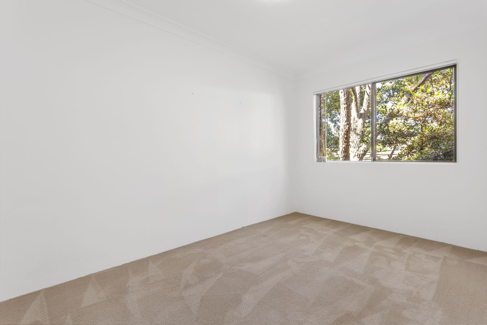 267 Bulwara Road, Ultimo - Thumbnail 8