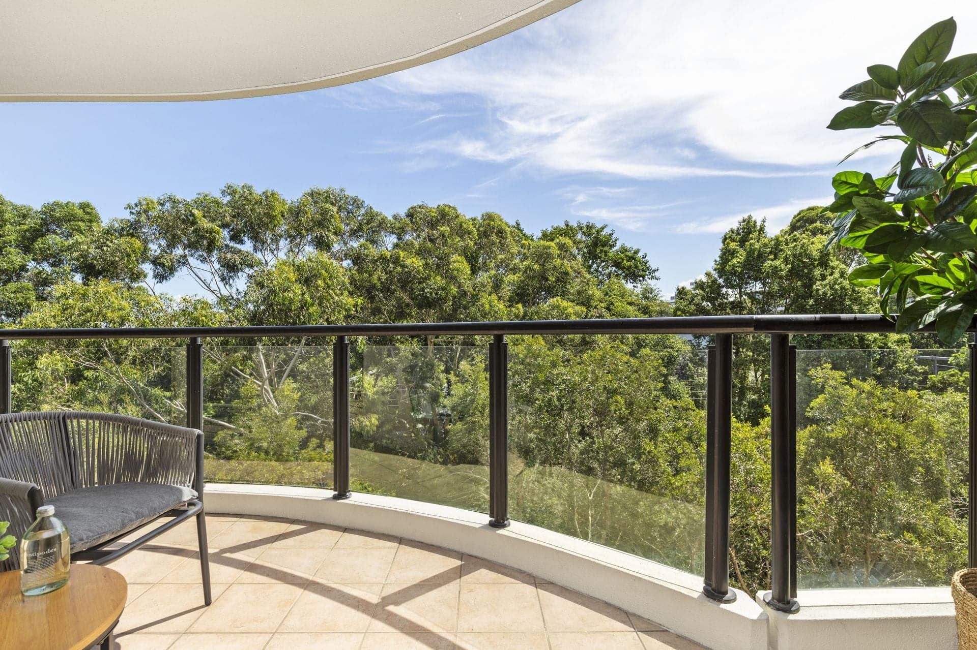 49 Lithgow Street, St Leonards - Thumbnail 4