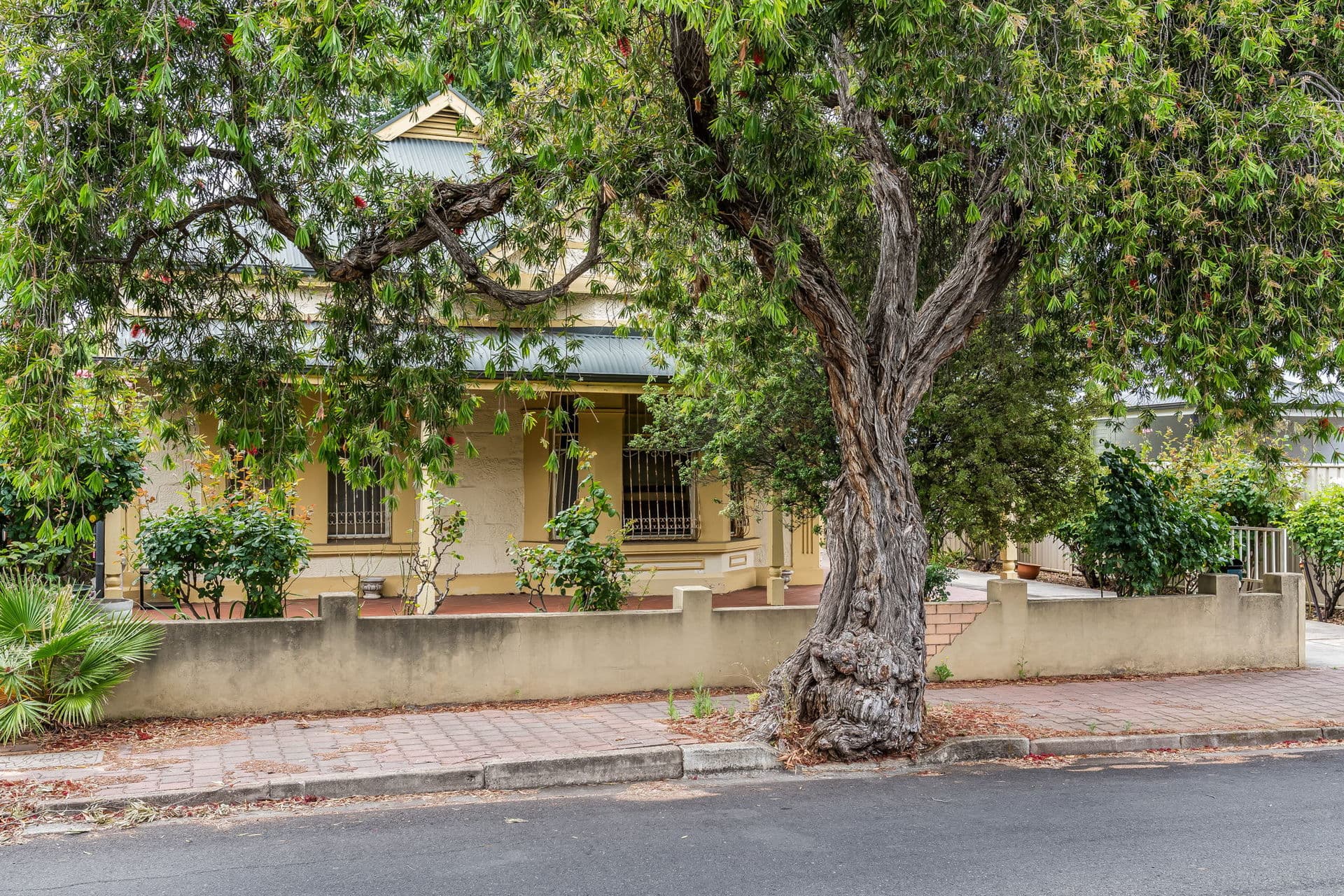 11 Anglo Avenue, Parkside - Thumbnail 2
