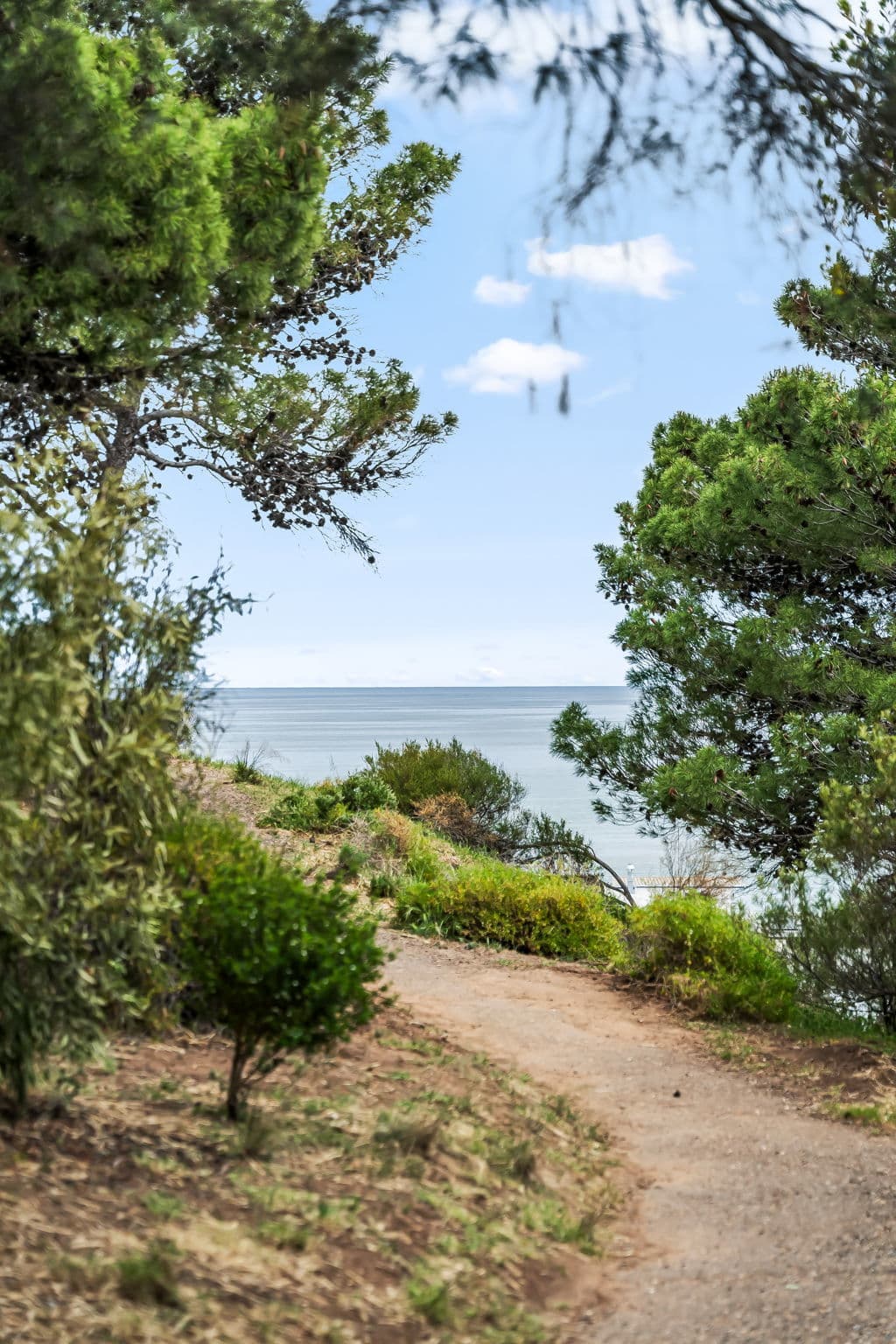 84 Myrtle Road, Seacliff - Thumbnail 4