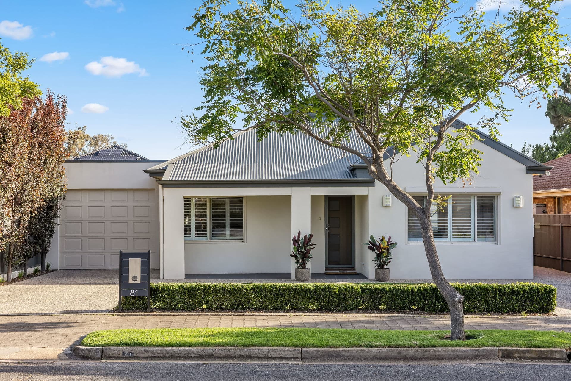 81 Crozier Avenue, Daw Park - Image 1