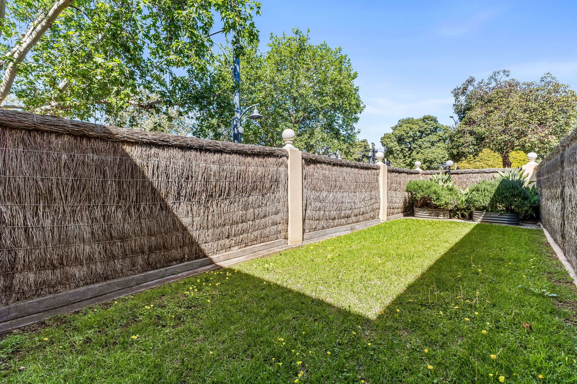2/95 Wellington Square, North Adelaide - Thumbnail 2