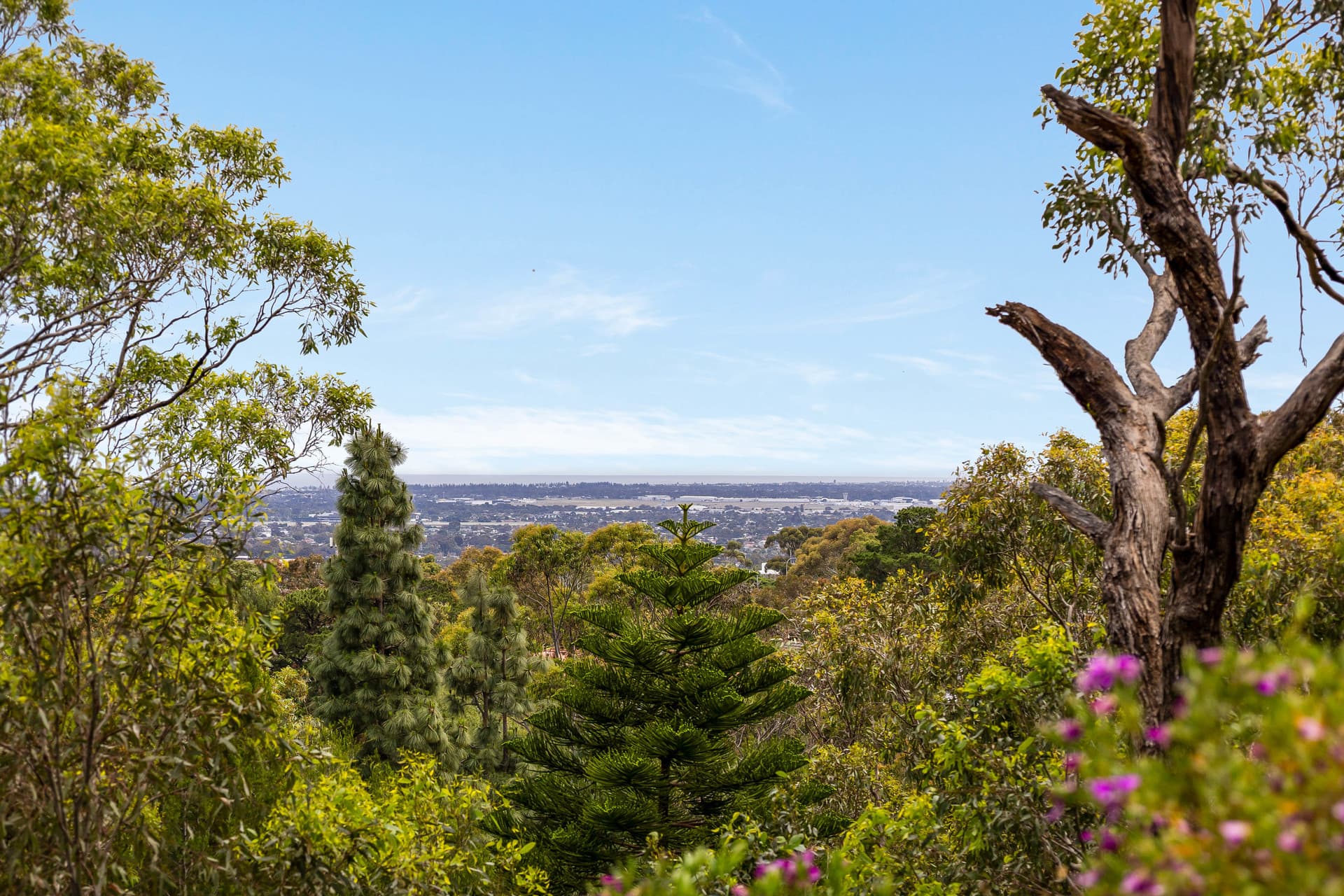 30 Yurilla Drive, Bellevue Heights - Thumbnail 2
