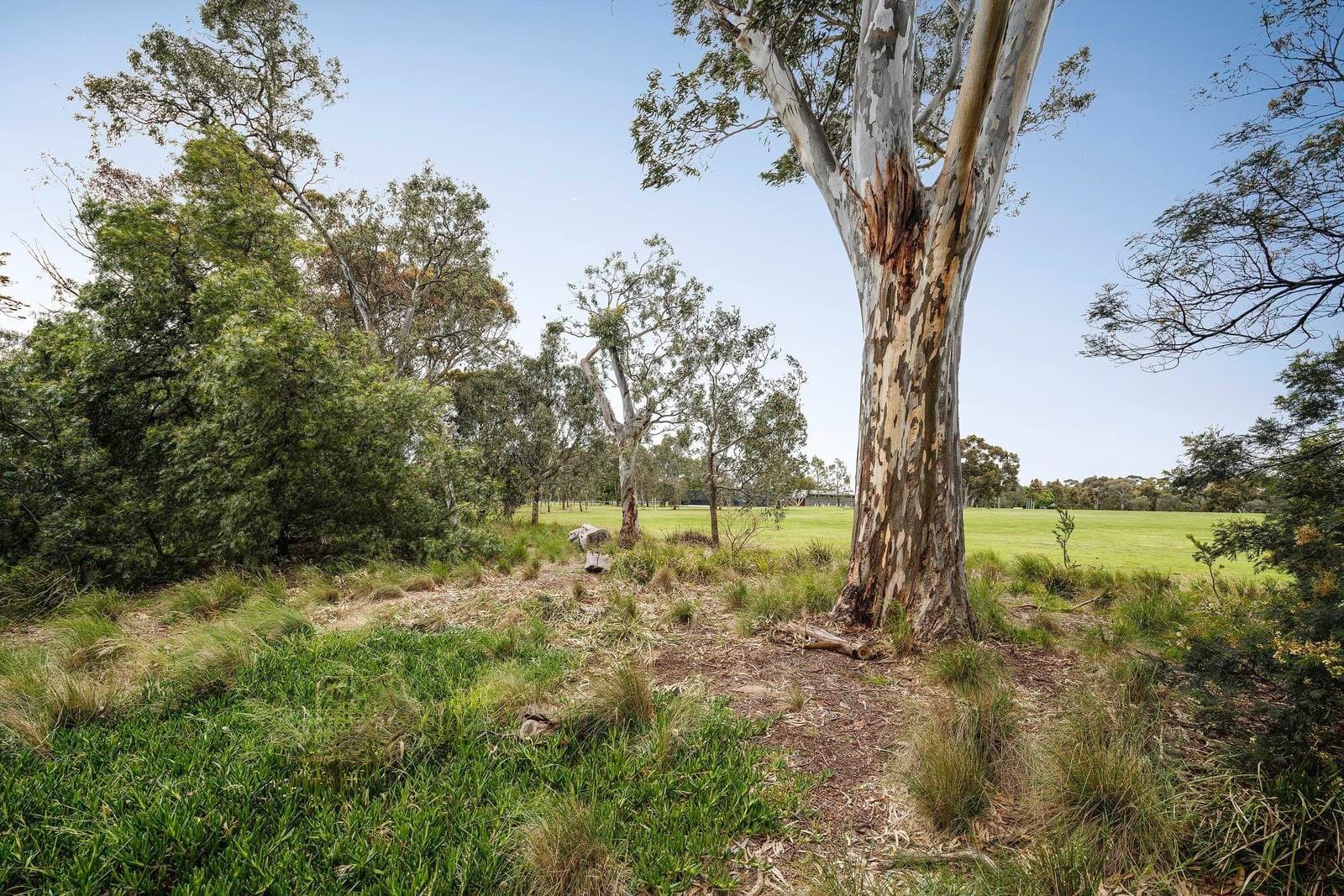 7/104 The Avenue, Parkville VIC 3052, Parkville - Thumbnail 8